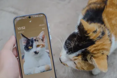 Vesper Cazino Cazinou Aplicație mobilă